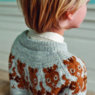Drachenpullover